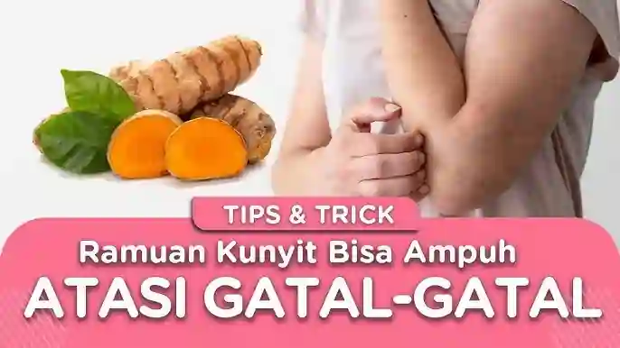 resep jamu masuk angin dan gatal gatal