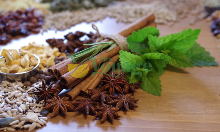 Bahan Herbal untuk Asam Urat