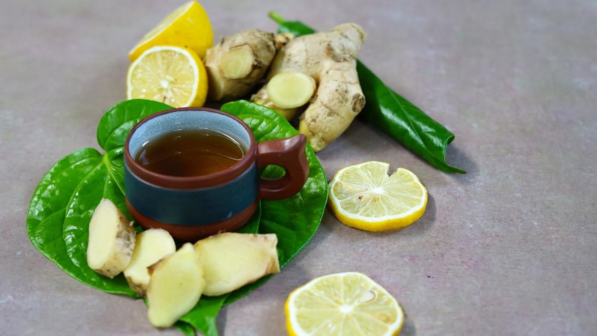 Jamu Tradisional Daun Sirih