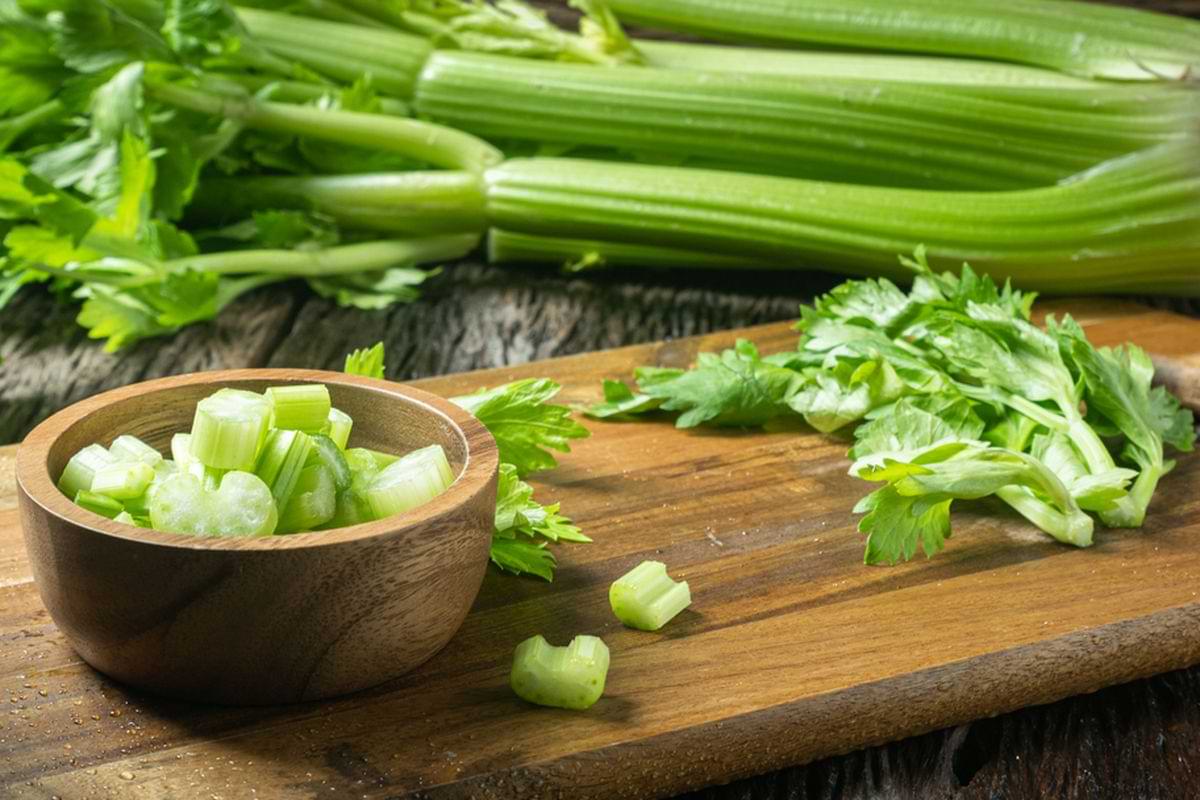 rahasia jamu asam urat
