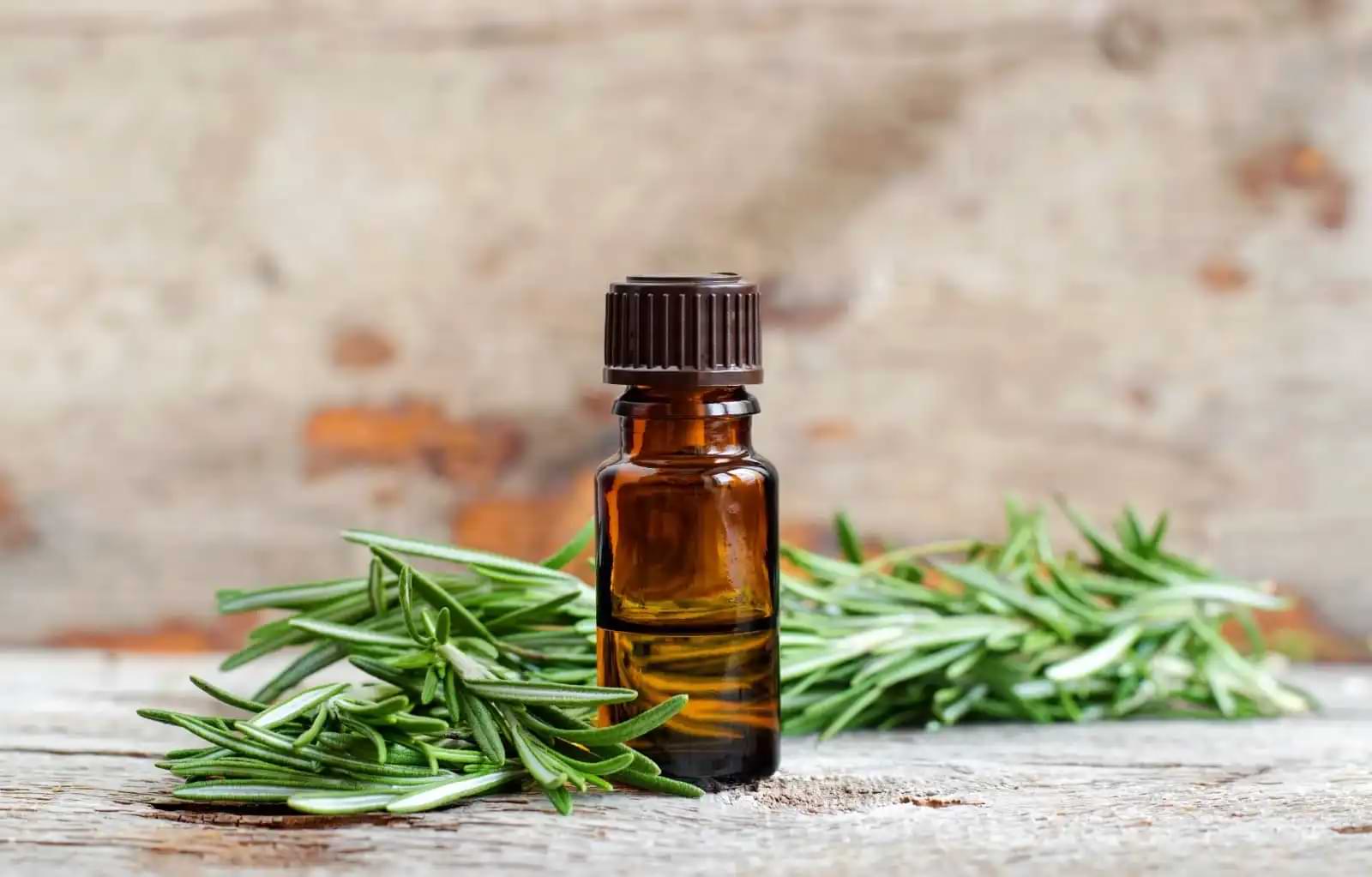 jamu untuk migrain