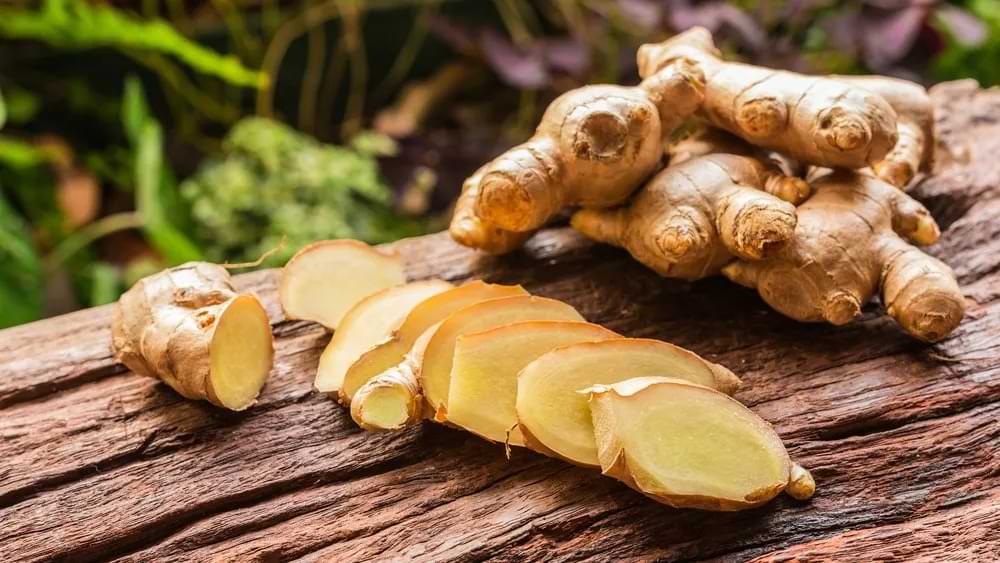 jamu untuk asam urat