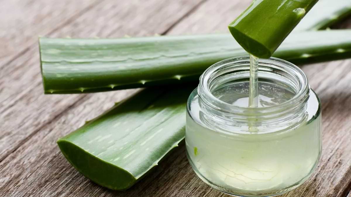 Jamu untuk gatal
