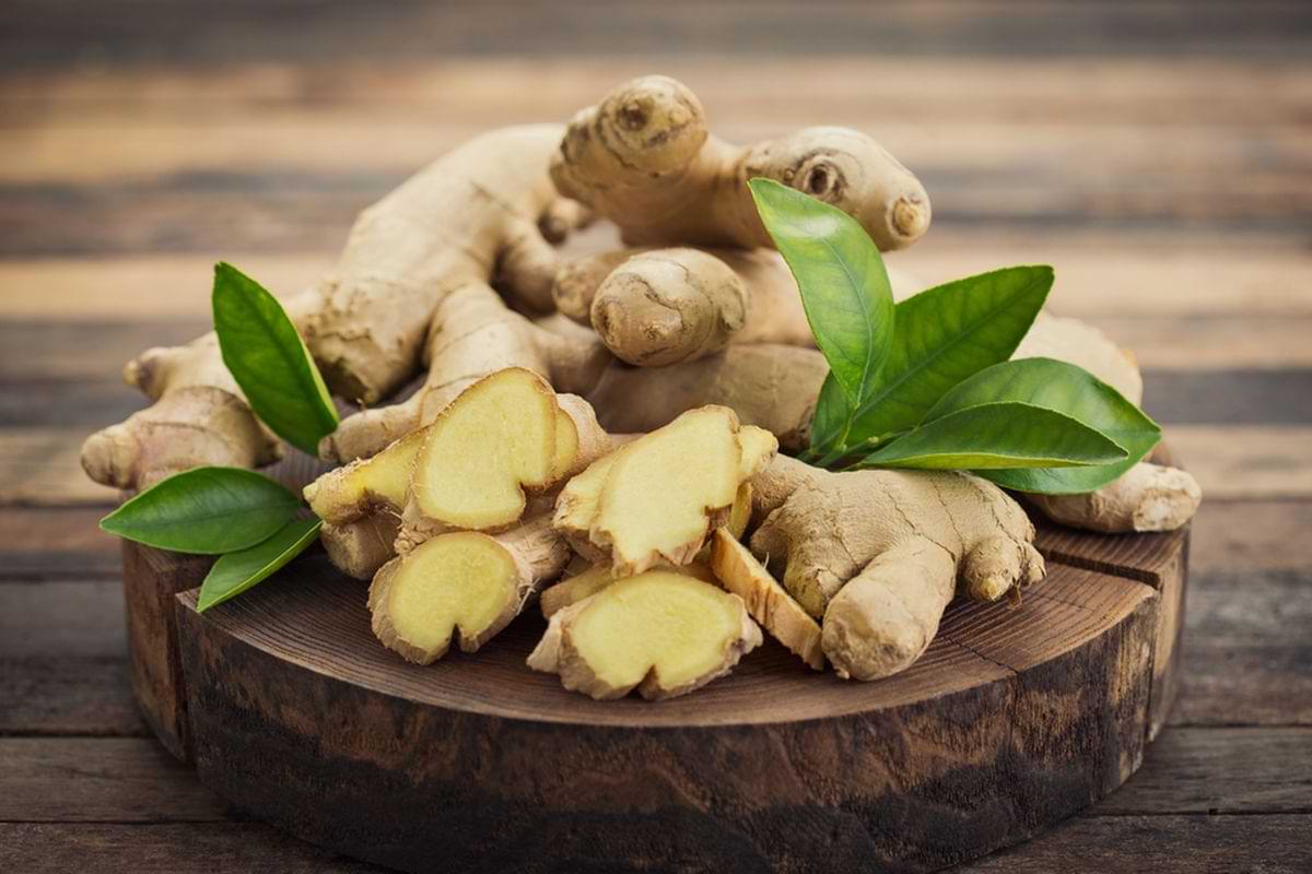jamu untuk darah rendah