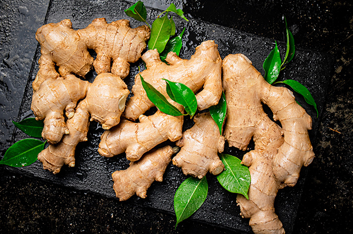 Jahe (Zingiber officinale)