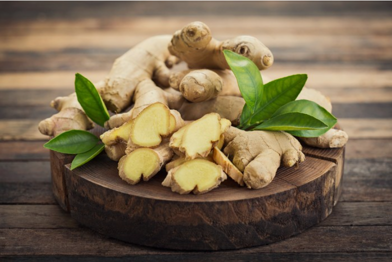 Jahe (Zingiber officinale)