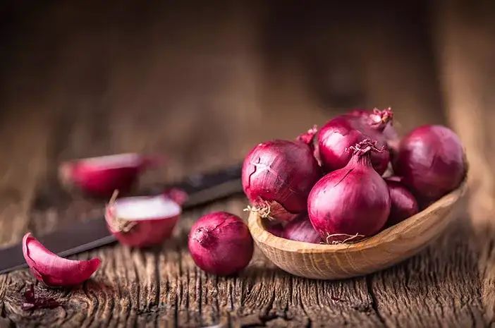 Bawang Merah (Allium cepa).
