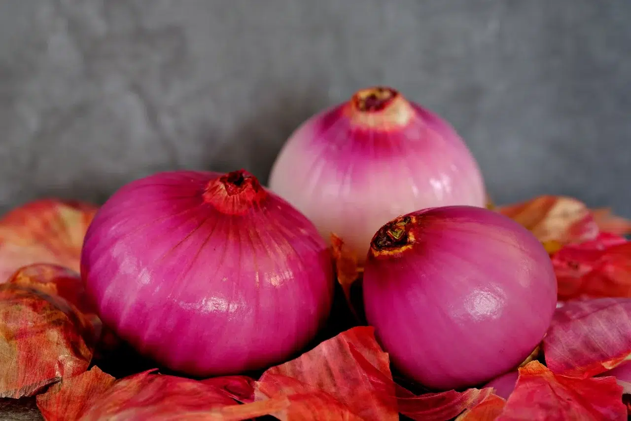 Bawang Merah (Allium cepa).