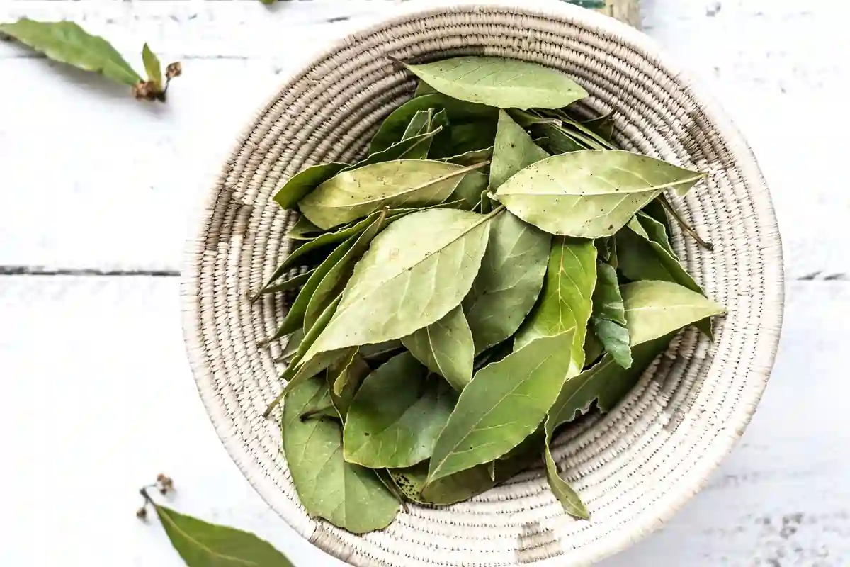 Jamu Penurun Gula Darah dan Kolesterol