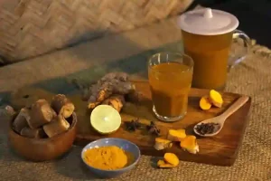 Jamu Indonesia