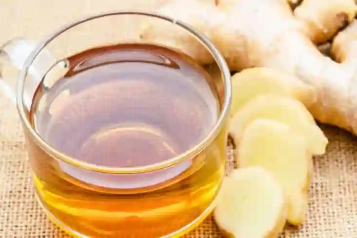 jamu untuk asam lambung